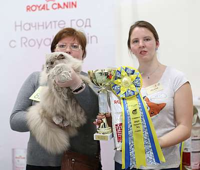 �������� ����� '���-�����-������' 11-12 ������ 2015  8-82-169A5572 copy.jpg